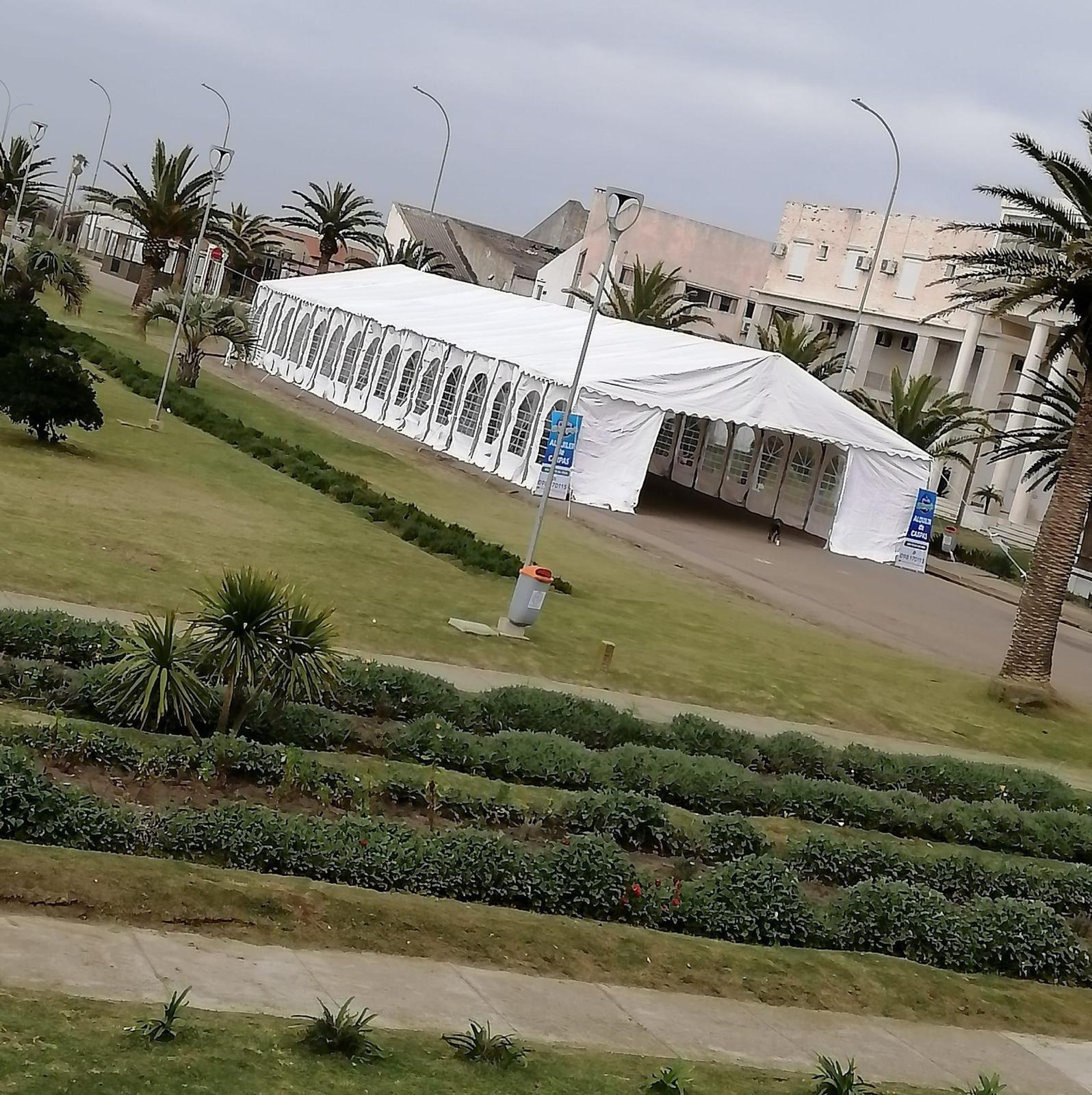 Carpa iluminada de noche
